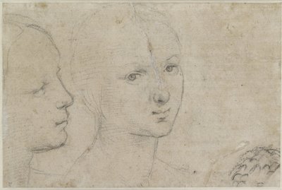 Dos estudios de la cabeza de una joven (verso) de Raffaello Sanzio Raphael